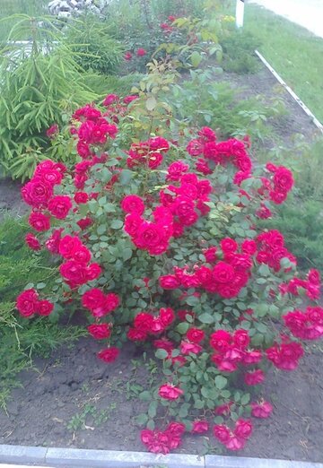 georgiy (@georgiy7222) — my photo № 8