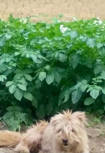 Stefan Todorov (@stefantodorov) — my photo № 18