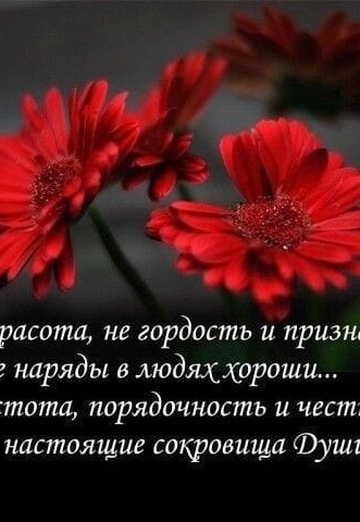 Dima (@dmitriy352101) — my photo № 22