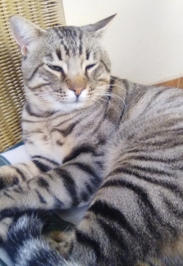 Evgeniya Kostadinova (@evgenia680) — my photo № 12