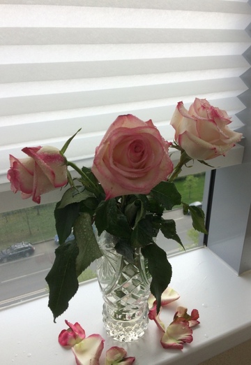 tatyana (@tatyana1846) — my photo № 19