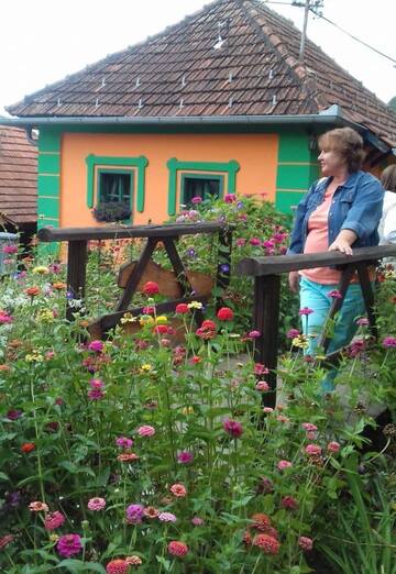 My photo - Elena, 70 from Arandjelovac (@elena438275)