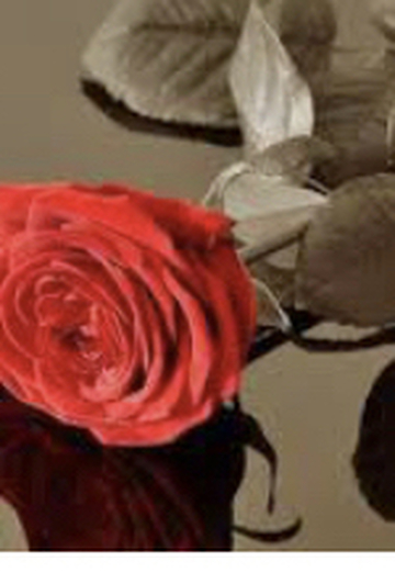 Lucas-Michael (@jackgomez) — my photo № 4