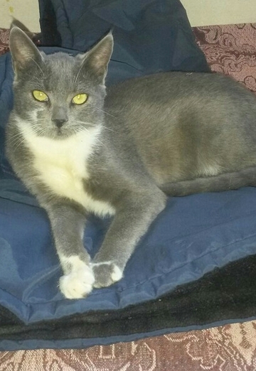 Stefan Todorov (@stefantodorov) — my photo № 21