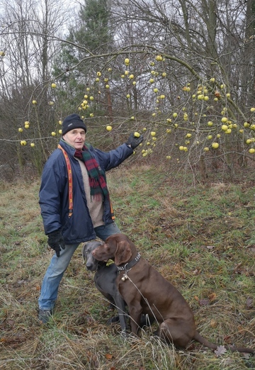 roman streisand (@romanstreisand) — my photo № 3