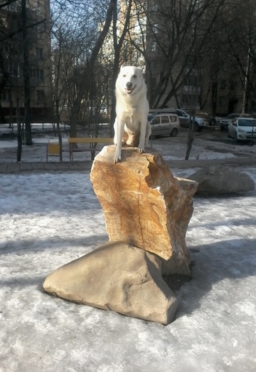 Aleksey (@spurlosxen1a) — my photo № 27