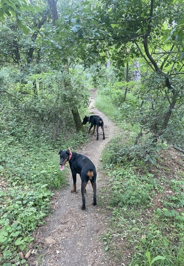 Toni (@toni3351) — my photo № 4