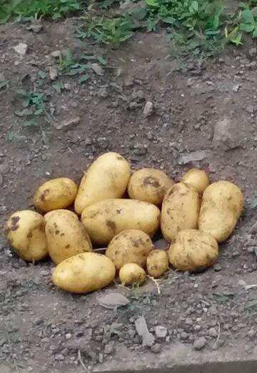 Stefan Todorov (@stefantodorov) — my photo № 16