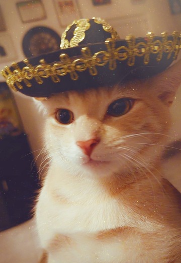 Beto (@beto179) — my photo № 3