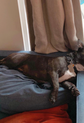 Lucas-Michael (@jackgomez) — my photo № 2