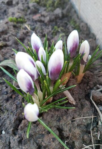 Ivan (@ivan287573) — my photo № 2