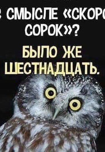 SVET TVOIH OChEY🌹 (@svet667) — my photo № 37