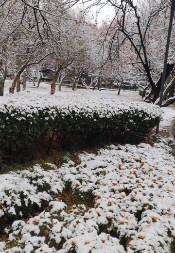 Namık (@namk06) — my photo № 6