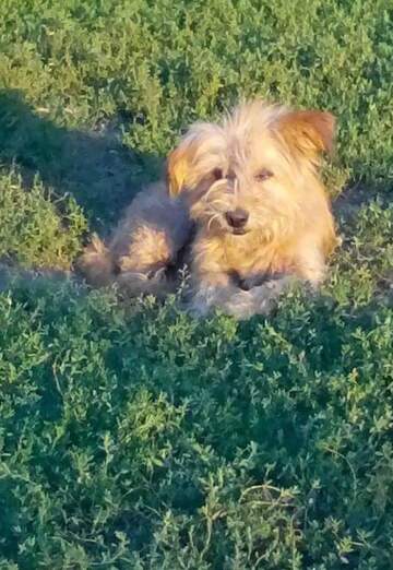 Stefan Todorov (@stefantodorov) — my photo № 17