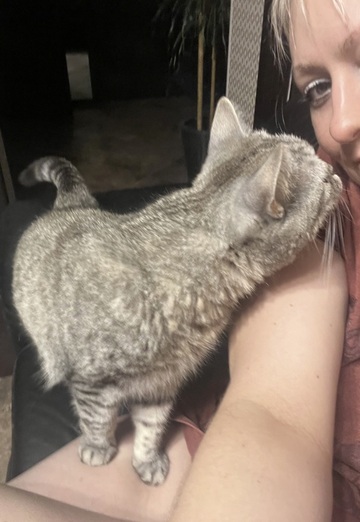 LISA🙄 (@liza35258) — my photo № 79