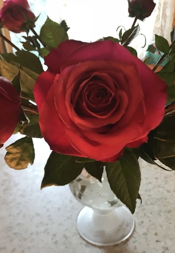 SVET TVOIH OChEY🌹 (@svet667) — my photo № 18