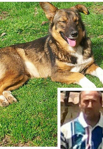 Stefan Todorov (@stefantodorov) — my photo № 20