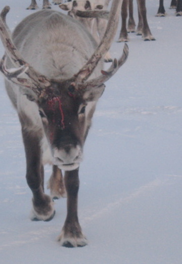 Vladimir (@vladimir33996) — my photo № 6