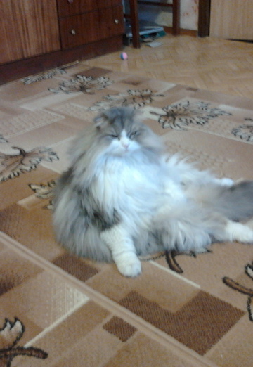 olga (@olga39890) — my photo № 3
